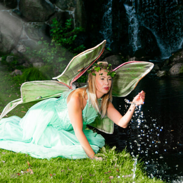 Fairyshoot